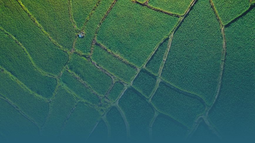 Building A Sustainable And Resilient Food System Milken Institute